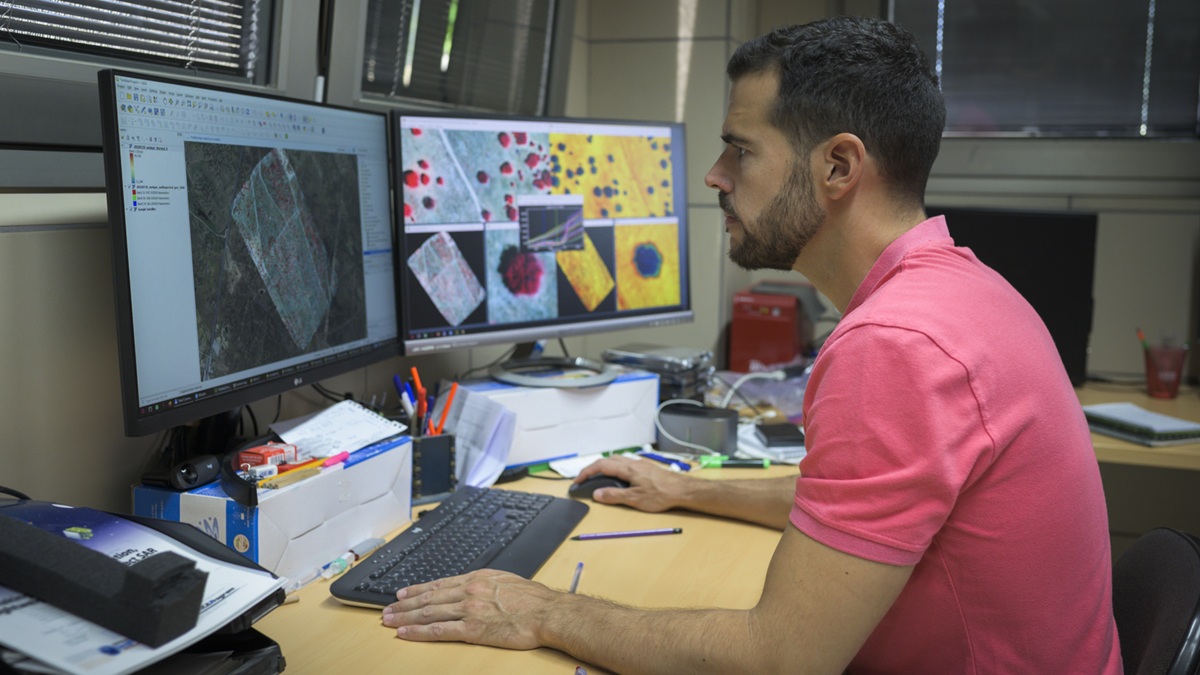 Investigadores del CSIC usarán satélites para anticiparse a plagas en bosques mediterráneos